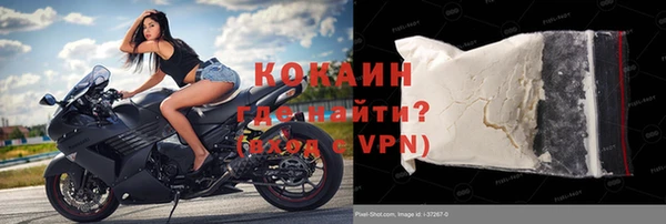 дживик Богородск