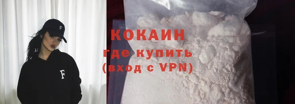дживик Богородск