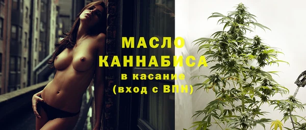 дживик Богородск