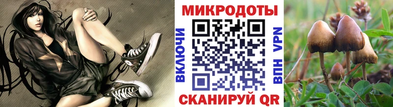 ОМГ ОМГ как зайти  Дегтярск  Псилоцибиновые грибы ЛСД  наркота 